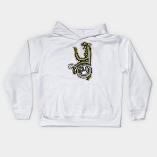 Celtic Cat Letter Y Kids Hoodie